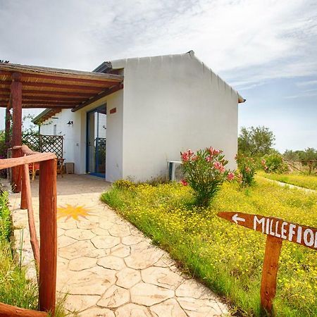 올비아 Agriturismo Mieleamaro 빌라 외부 사진