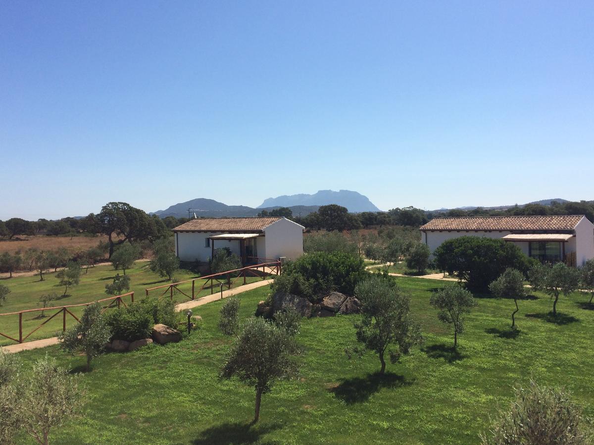 올비아 Agriturismo Mieleamaro 빌라 외부 사진