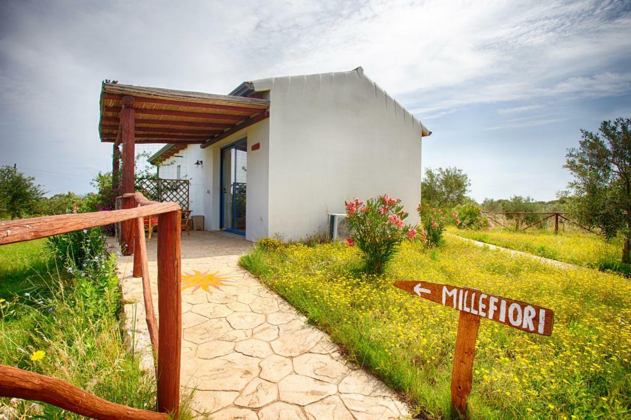 올비아 Agriturismo Mieleamaro 빌라 외부 사진