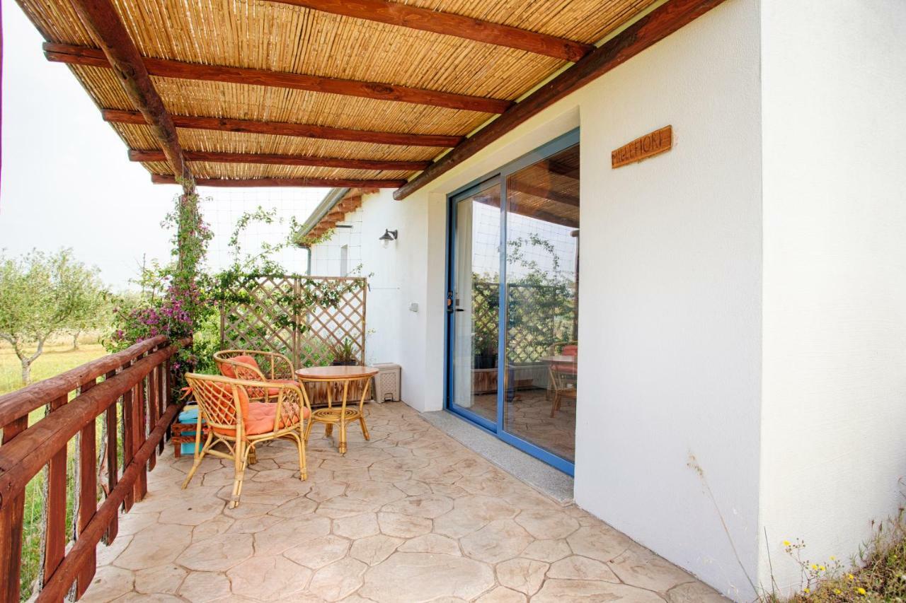 올비아 Agriturismo Mieleamaro 빌라 외부 사진