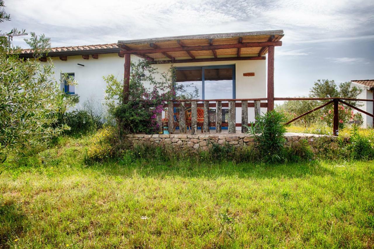 올비아 Agriturismo Mieleamaro 빌라 외부 사진