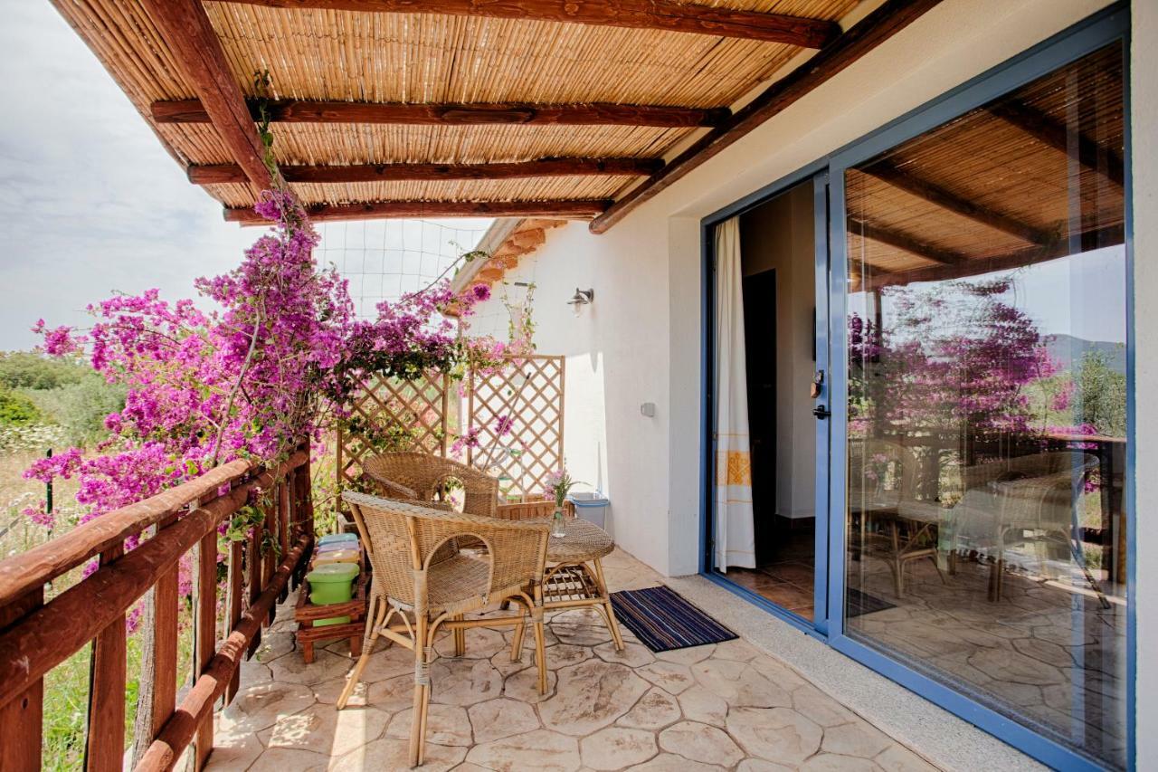 올비아 Agriturismo Mieleamaro 빌라 외부 사진